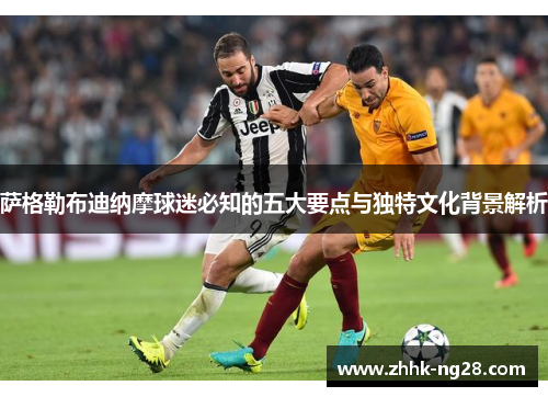 萨格勒布迪纳摩球迷必知的五大要点与独特文化背景解析